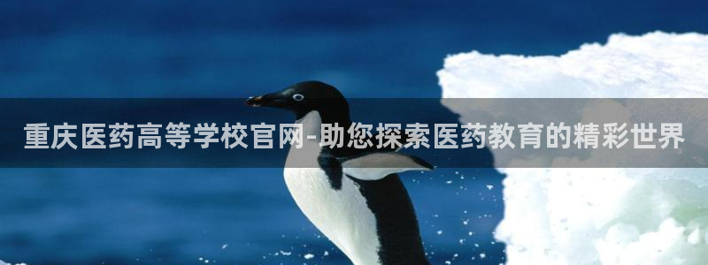 ag九游会j9