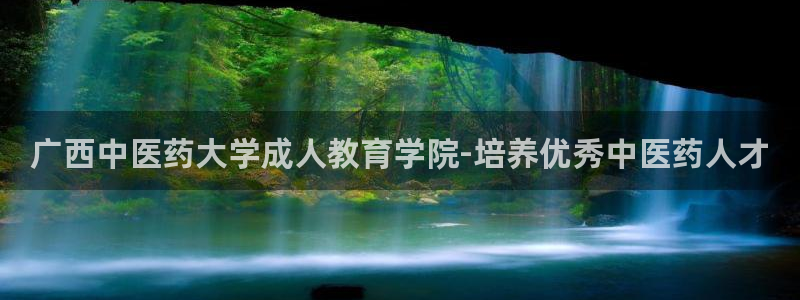 九游会网址是什么