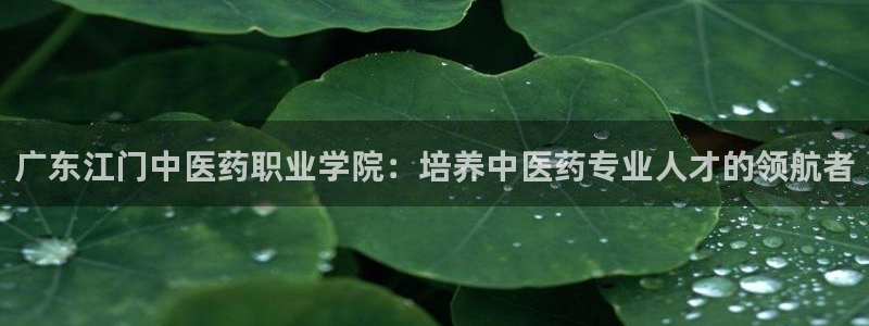 j9九游会中国