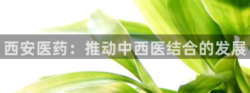 九游j9打不开
