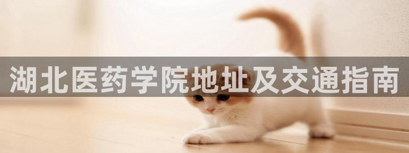 j9九游会app下载