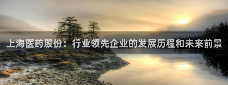 九游会网址是什么