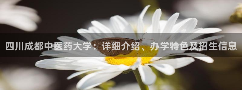 9游会老哥俱乐部