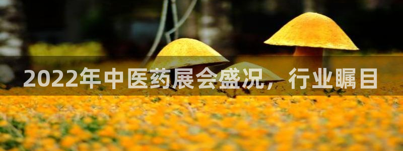 九游j9国际站