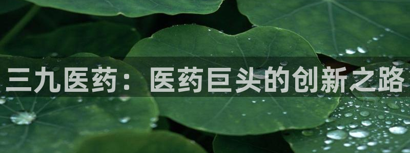 九游会ag入口