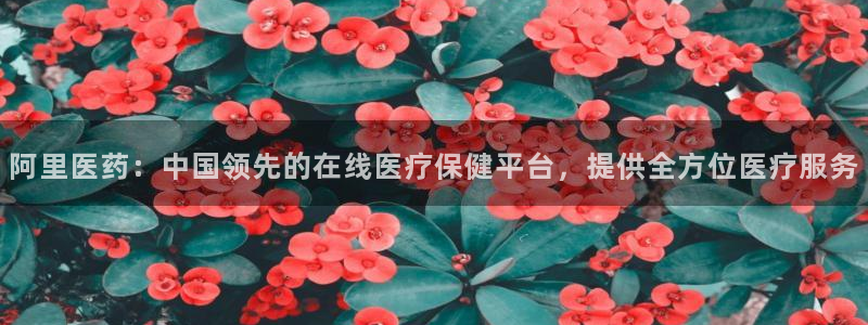 九游会在线官方下载吗