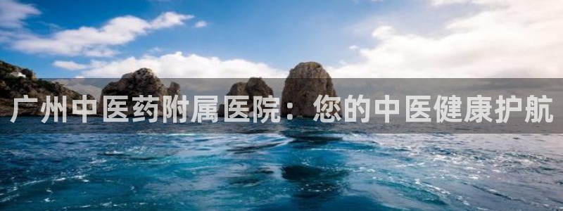 九游会是什么组织