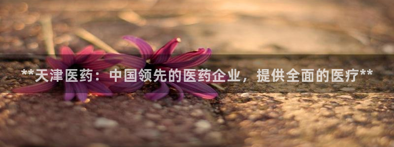 九游j9会