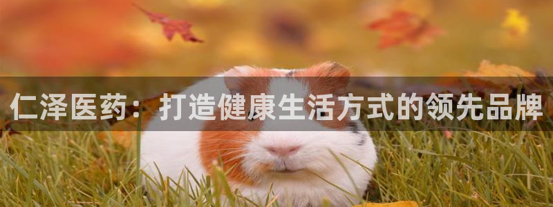 ag九游会客户端