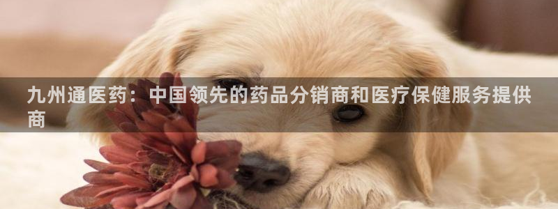 九游会官方平台