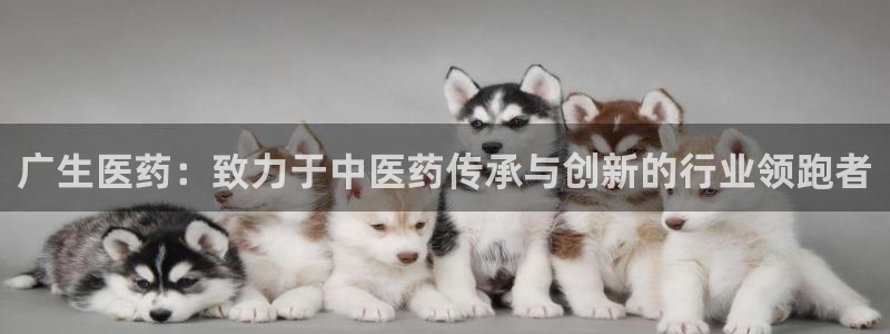 九游会手机登陆